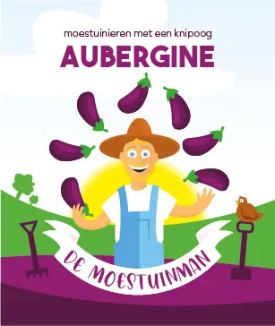 De moestuinman Aubergine zaden warmteminnend