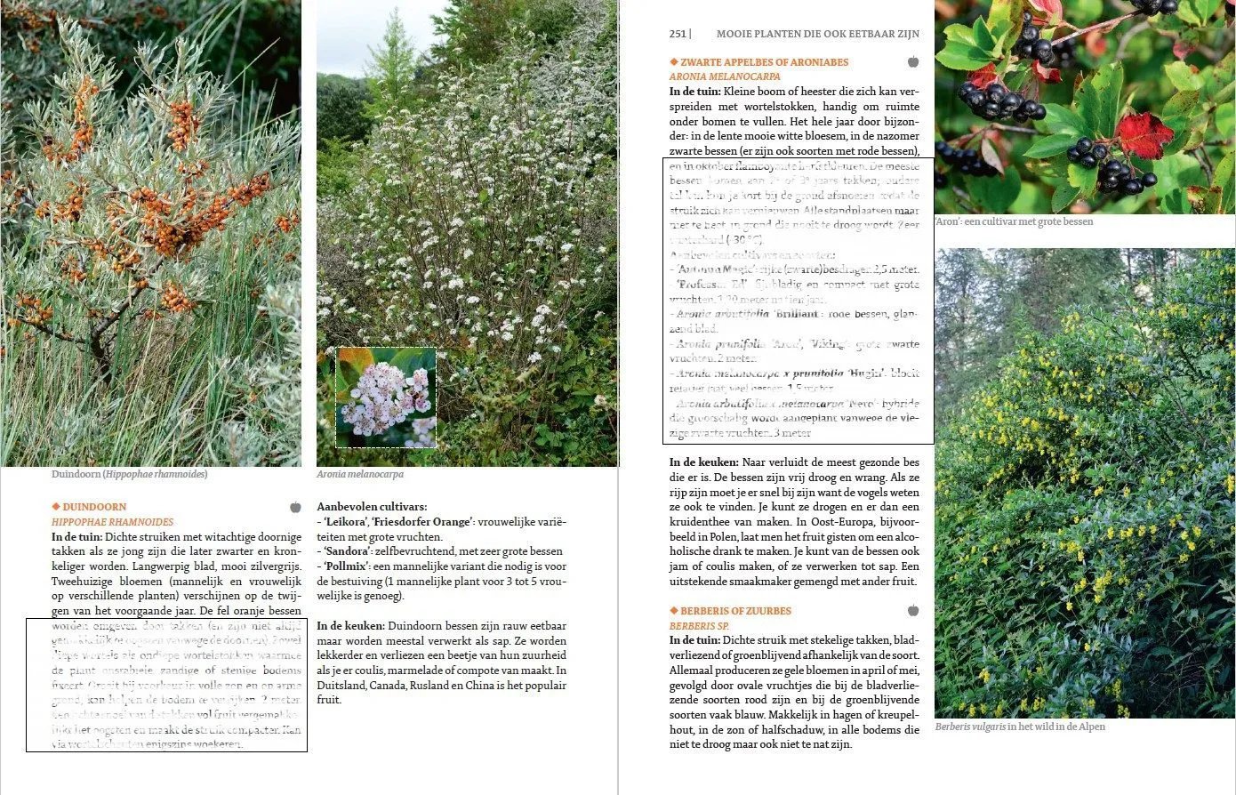 De Tuinen van MergenMetz De Eetbare Siertuin boek eetbare planten