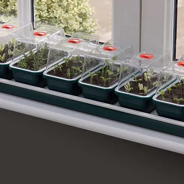 World Botanics Super 7 elektrische kweekkas vensterbank