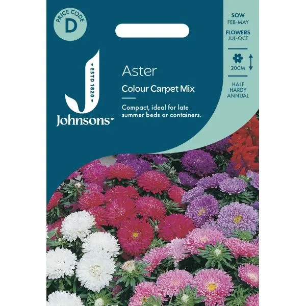 World Botanics Aster Colour Carpet Mixed bloemzaden bodembedekker