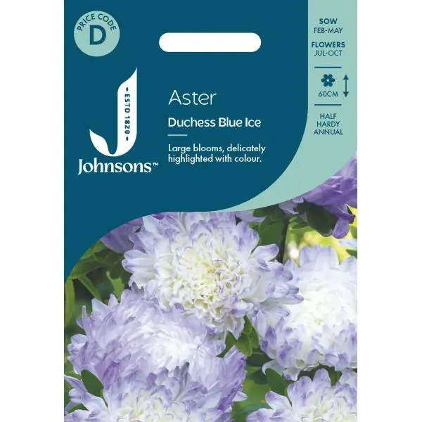 World Botanics Aster Duchess Blue Ice bloemzaden blauw 60cm
