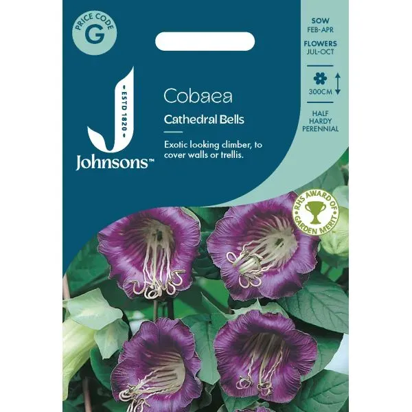 World Botanics Cobaea Cathedral Bells bloemzaden paars
