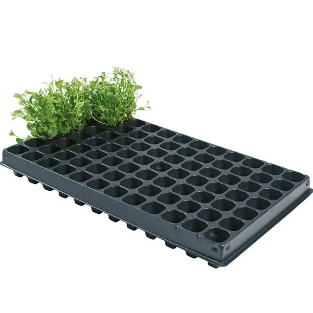 World Botanics stektrays 2x84 cellen plastic hergebruikt