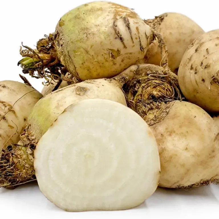 De Tuinen van MergenMetz Albina Vereduna biet zaden 3 gram wit