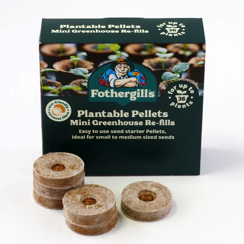 World Botanics plantable pellets navulling 36x35mm kokos