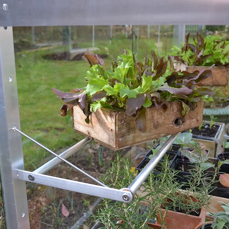 World Botanics 4ft Growhouse kweekkas gehard glas