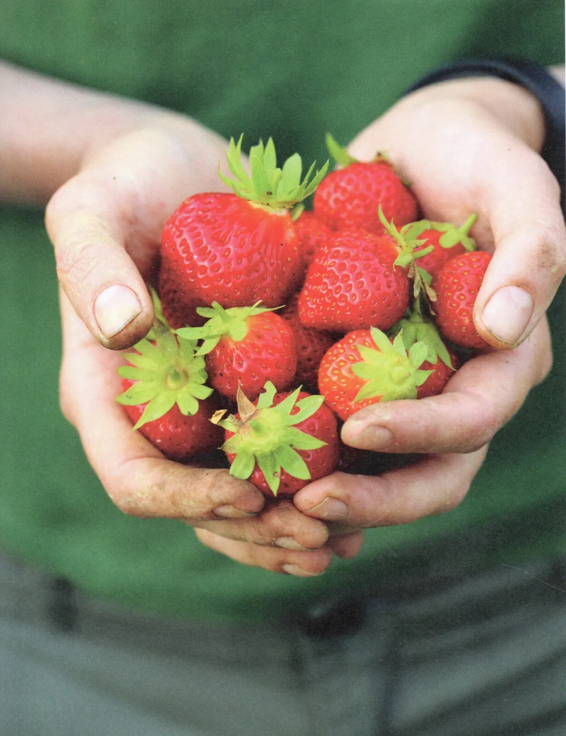 De Tuinen van MergenMetz Vera’s Moestuin boek beginners 1 stuk