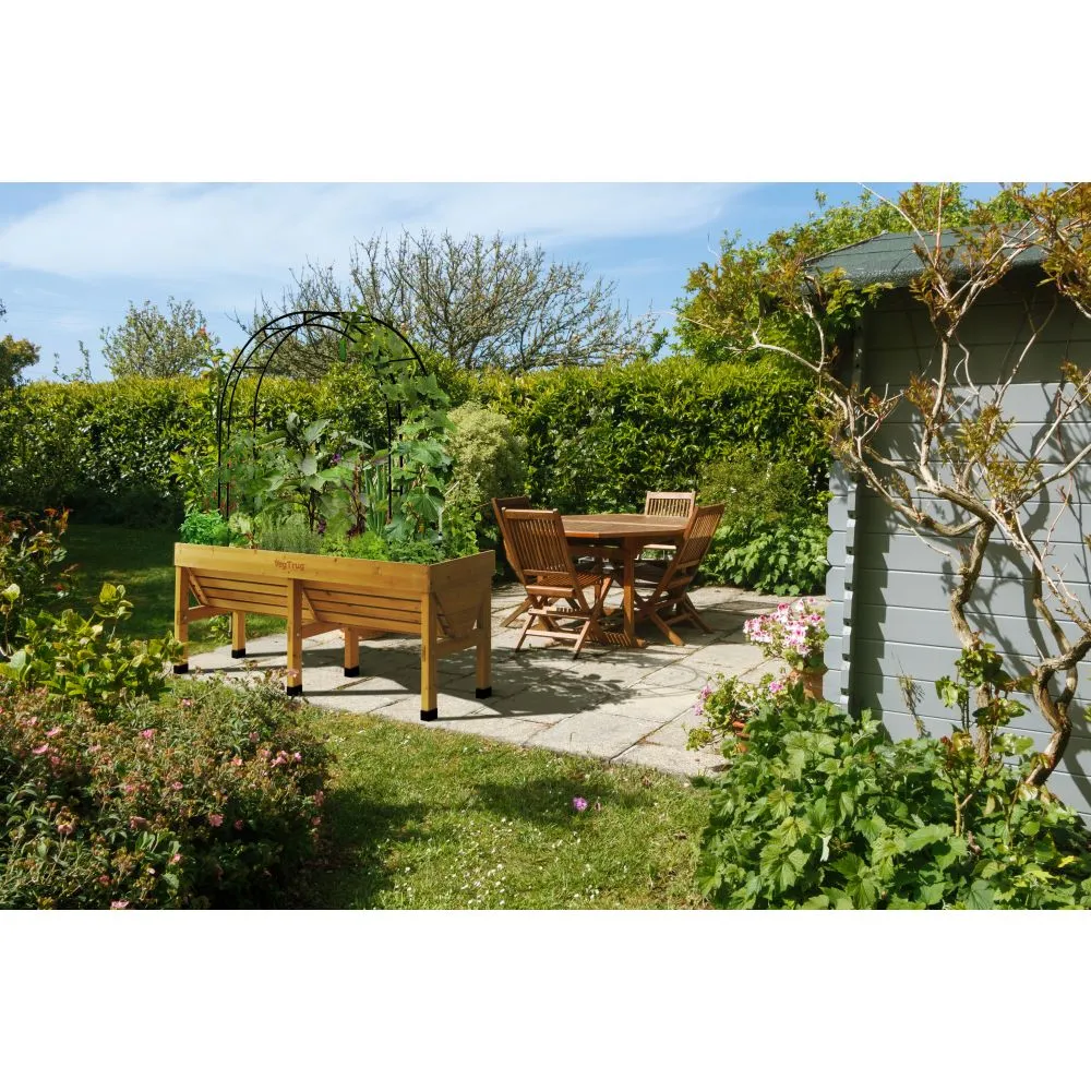 World Botanics VegTrug Climbing Arch klimboog zwart staal 144 cm