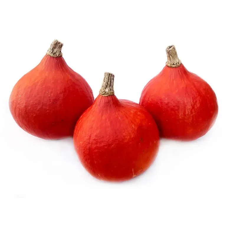 Vitale Rassen Pompoen oranje Hokkaido Denis zaden