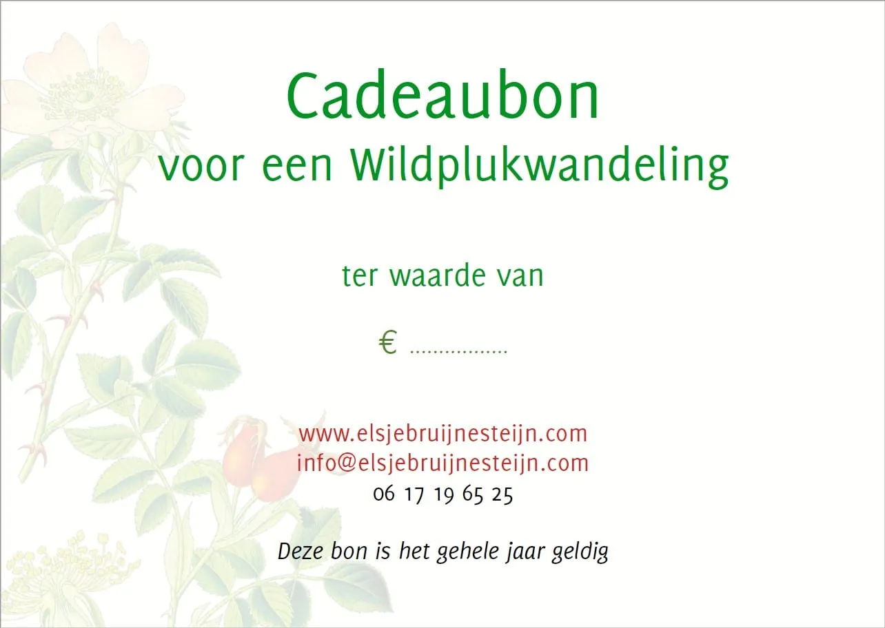 De Tuinen van MergenMetz wildplukwandeling cadeaubon Elsje Bruijnesteijn