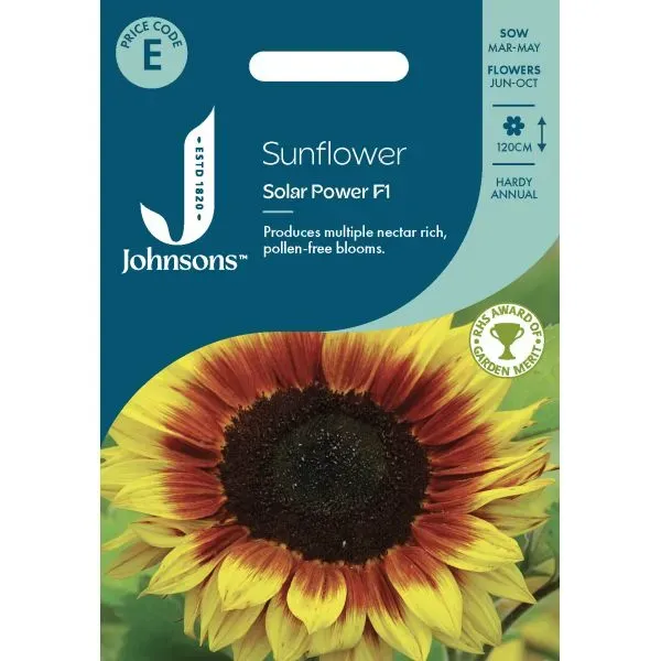 World Botanics Solar Power F1 zonnebloem bloemzaden geel
