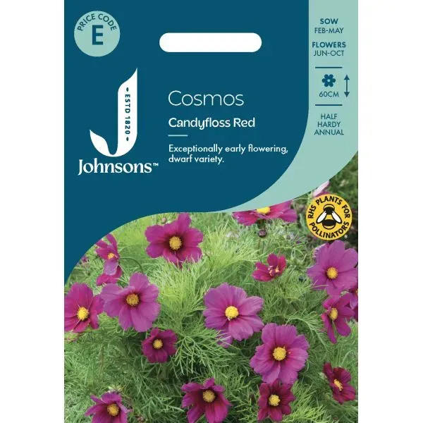 World Botanics Cosmos Candyfloss Red zaden rood
