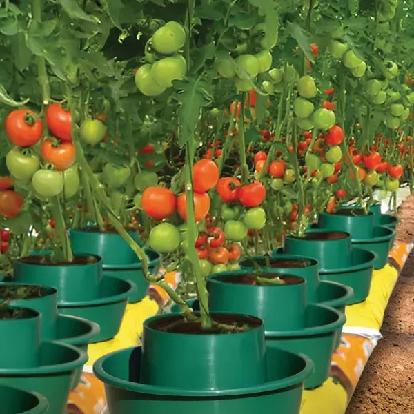 World Botanics Growpot tomaten kweekpot 2,25L 6 stuks