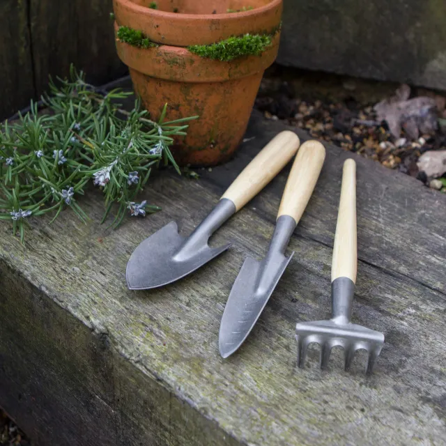 Darlac Bamboo Mini Essentials handgereedschap 3-delige set