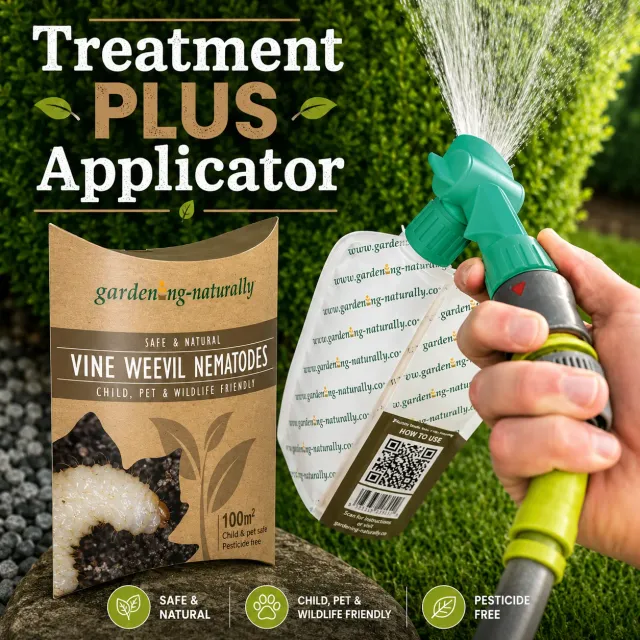 World Botanics Vine Weevil aaltjes met spuiter 100 m2