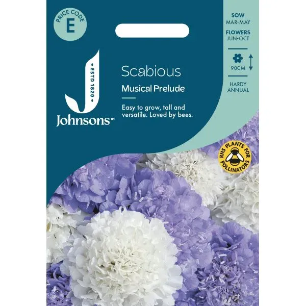 World Botanics Scabious Musical Prelude zaden blauw-wit eenjarig