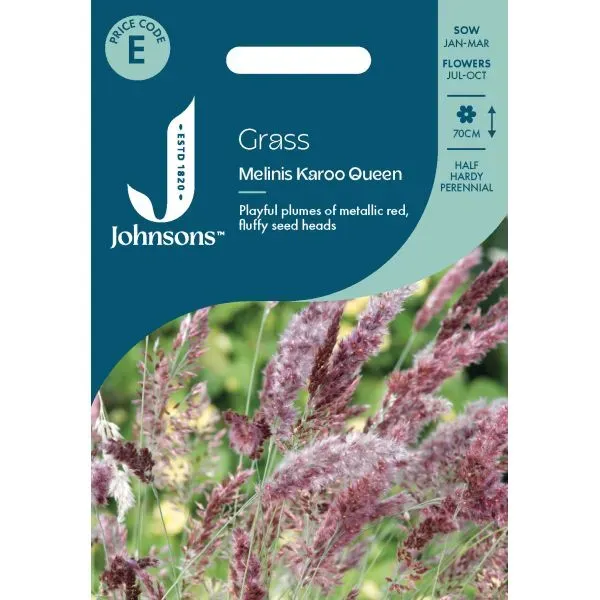 World Botanics Karoo Queen siergras zaden droogtetolerant