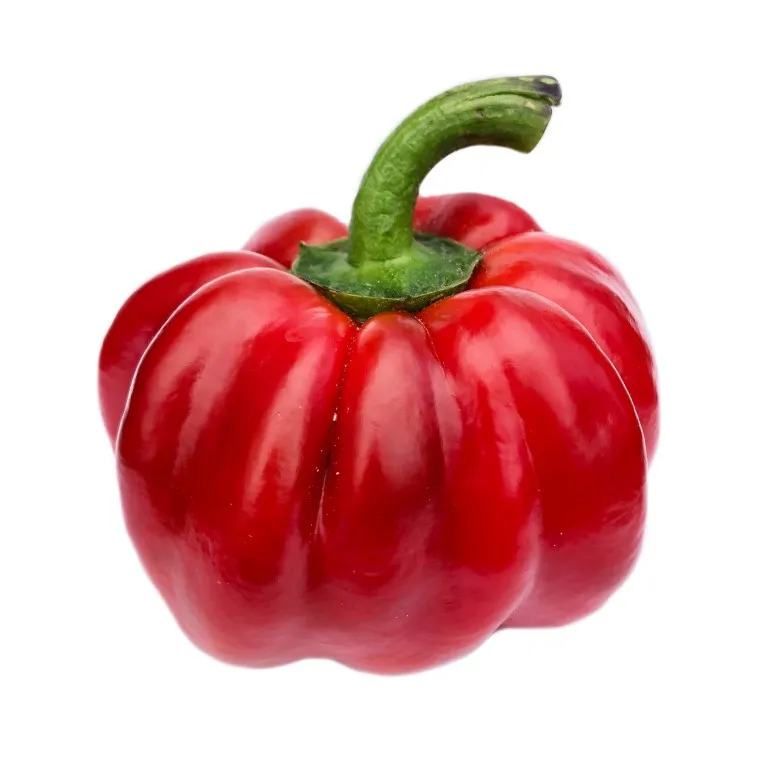 Vitale Rassen Ronde Hongaarse paprika zaden onbespoten
