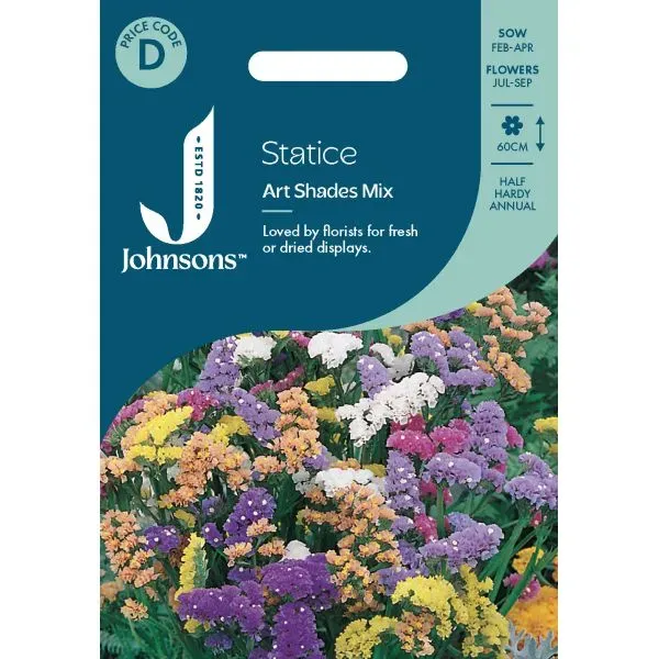 World Botanics Statice Art Shades Mix bloemzaden droogbloem
