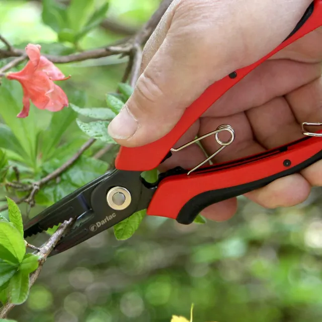 Darlac Cut-n-Hold bloemenschaar met houder voor rozen