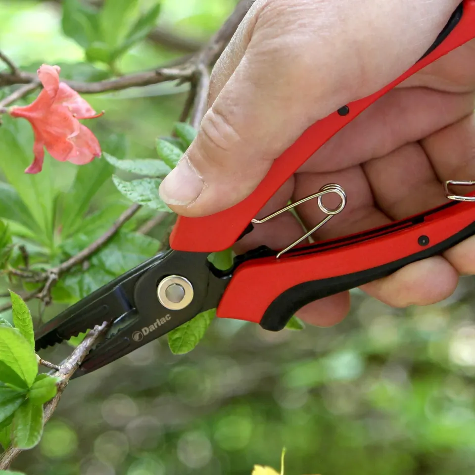 Darlac Cut-n-Hold bloemenschaar met houder voor rozen