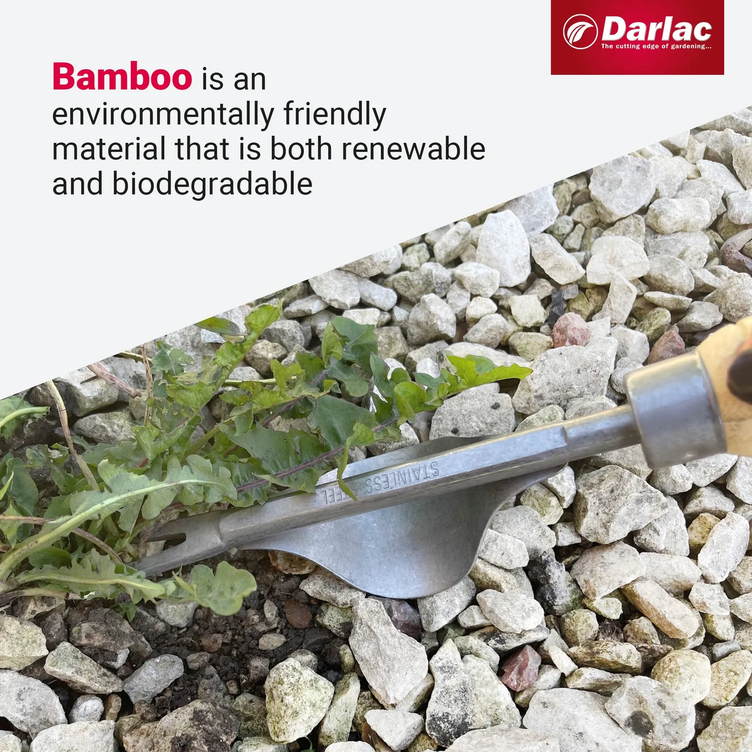Darlac Bamboo Daisy Grubber onkruidsteker bamboe