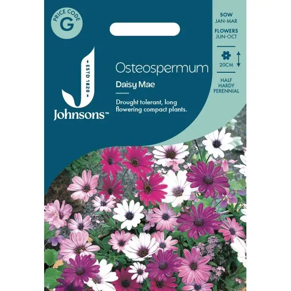 World Botanics Osteospermum Daisy Mae bloemzaden mix