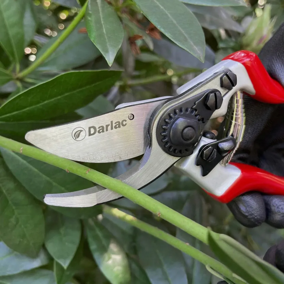 Darlac Expert Bypass Snoeischaar 25 mm