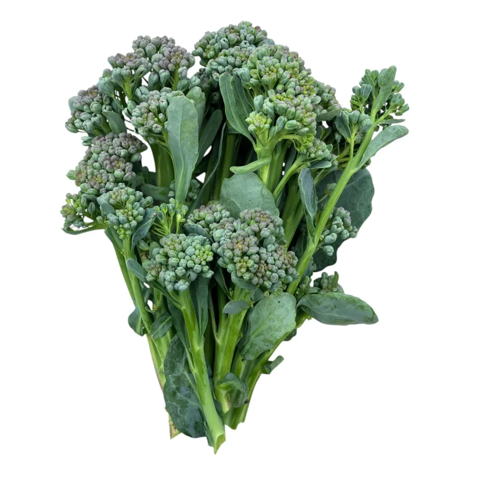 Vitale Rassen Piracicaba broccolini zaden vroeg ras