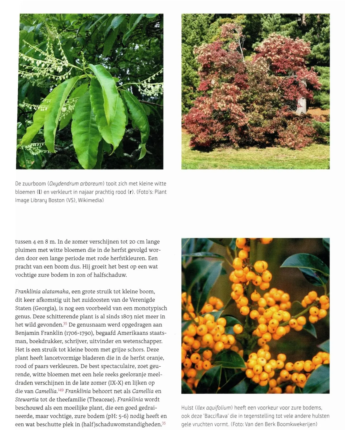 De juiste boom voor elke tuin boek Martin Hermy voedselbos