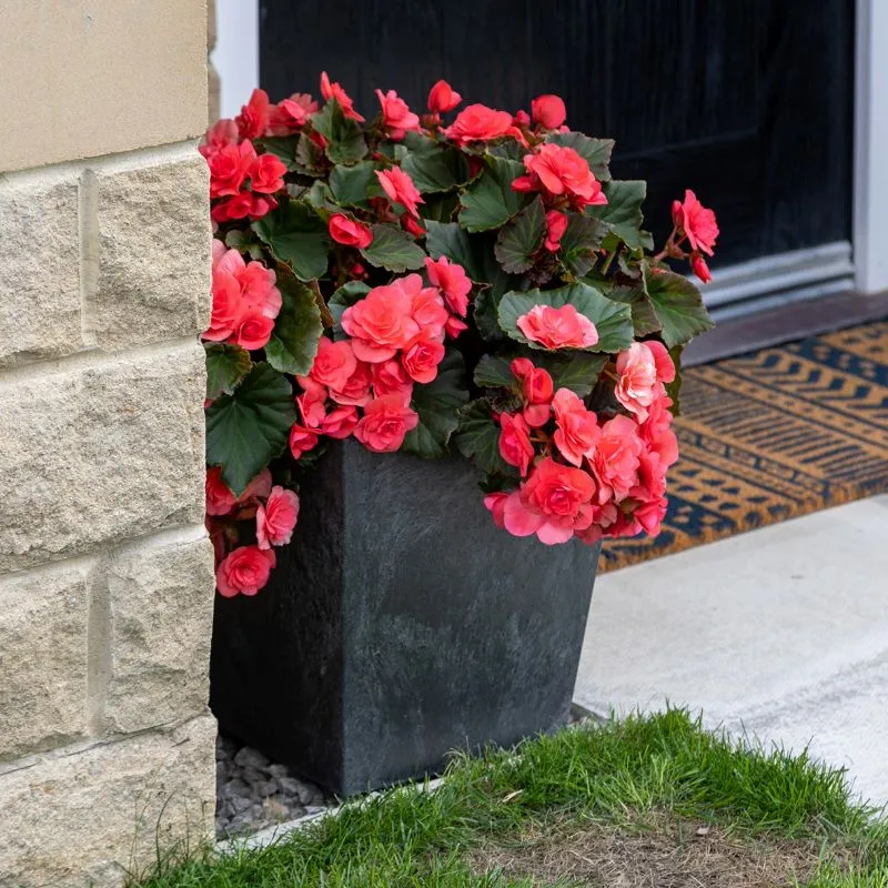 World Botanics Sonata plantenpot 33 cm leisteen 2 stuks onbreekbaar