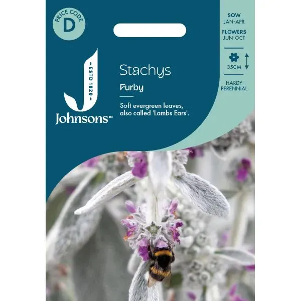 Johnsons Stachys Furby bloemzaden zilvergrijs vast