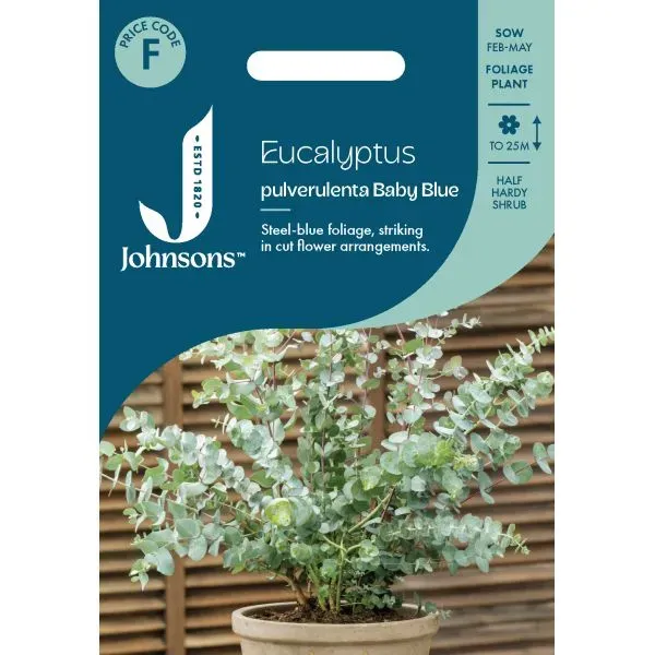 Johnsons Eucalyptus pulverulenta Baby Blue zaden zilverblad