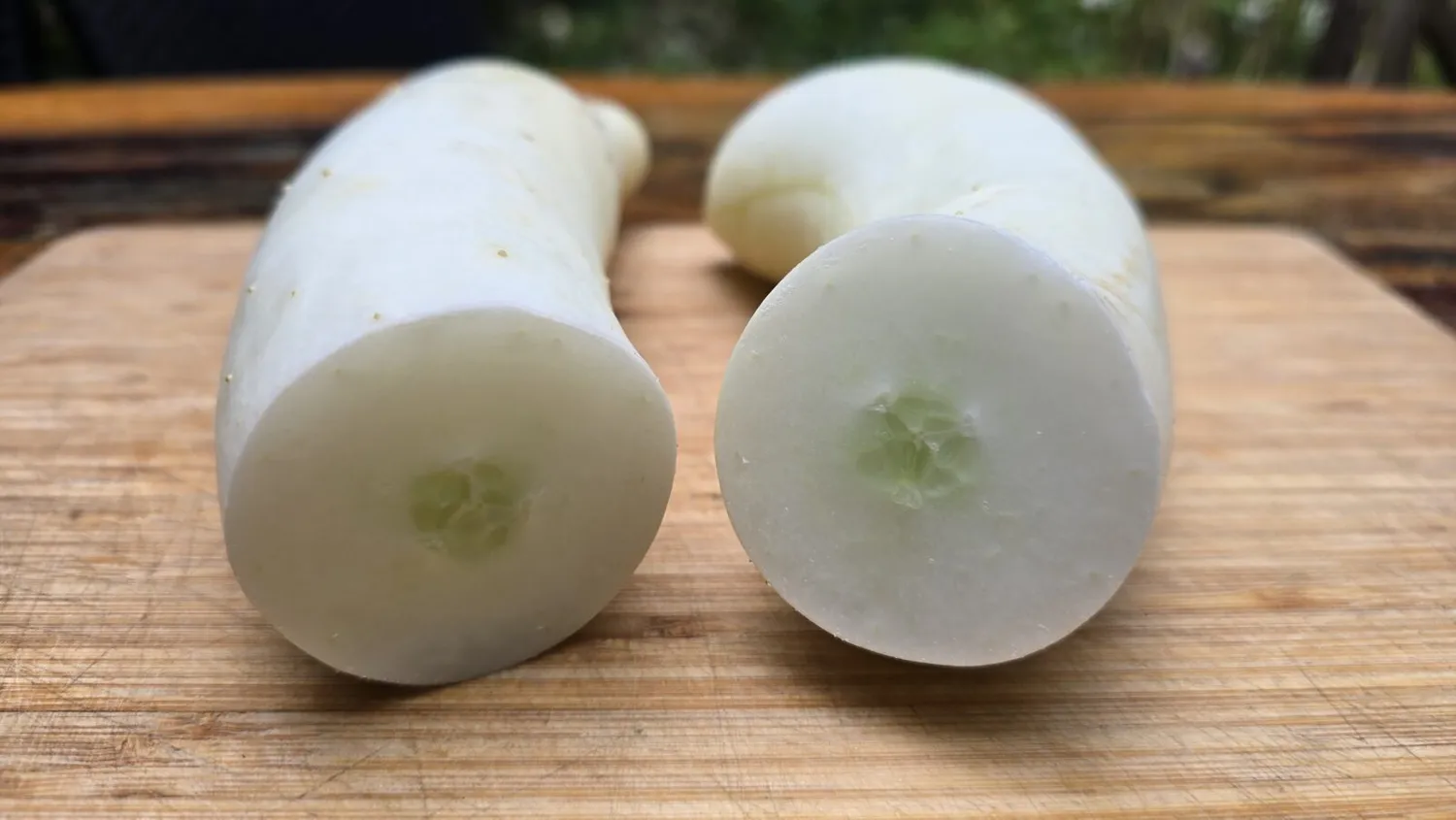 De Tuinen van MergenMetz Komkommer Witte Bruid zaden 10 stuks zeldzaam