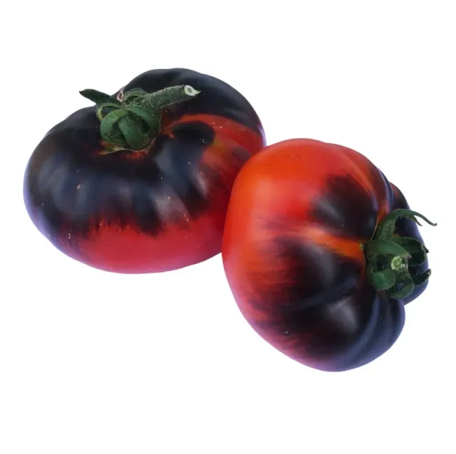 Vitale Rassen Dark Galaxy tomaat zaden serre