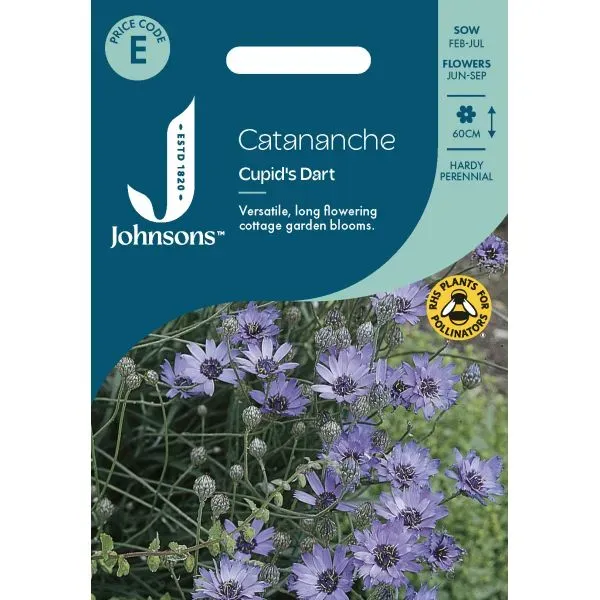 World Botanics Catananche Cupid's Dart bloemzaden blauw