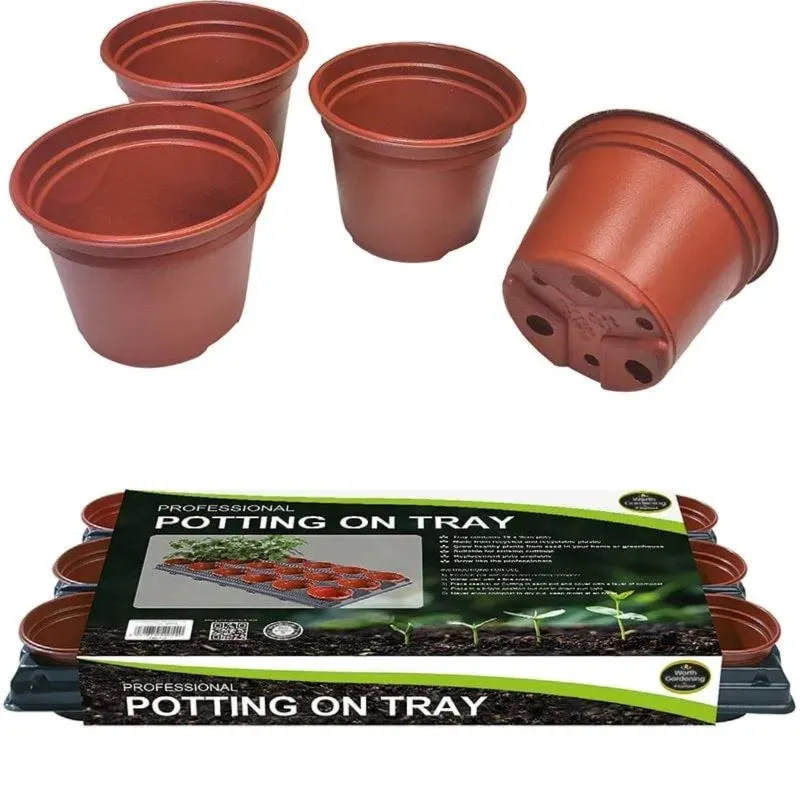 World Botanics verspeenbak met 18 potten 9 cm tray