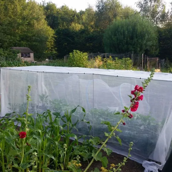 World Botanics Veggiemesh insectengaas 1,8 x 5 m