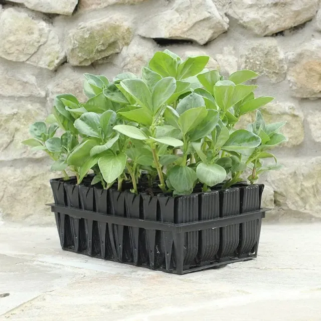 World Botanics Rootrainers kweekbak deep 32 cellen
