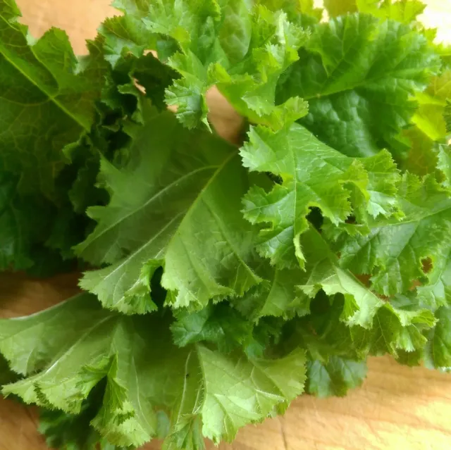 De Tuinen van MergenMetz Krulmalva Malva Crispa zaden 30 stuks