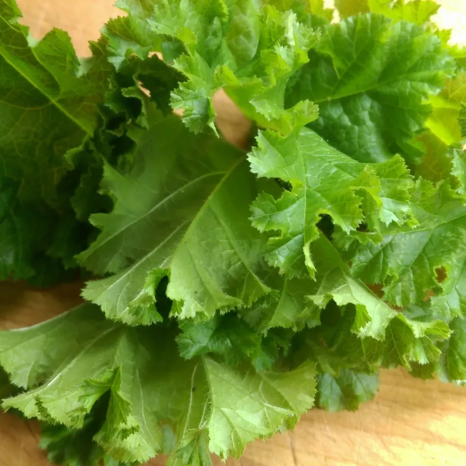 De Tuinen van MergenMetz Krulmalva Malva Crispa zaden 30 stuks