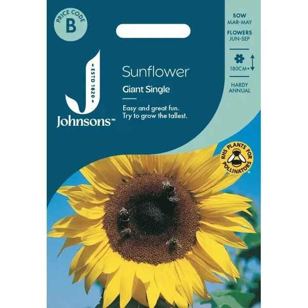 World Botanics Sunflower Giant Single bloemzaden geel