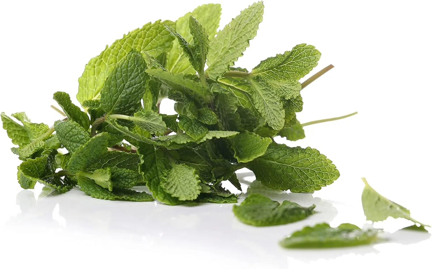 Herbal Age Premium Munt Muntzaden 170 Zaden Onbespoten