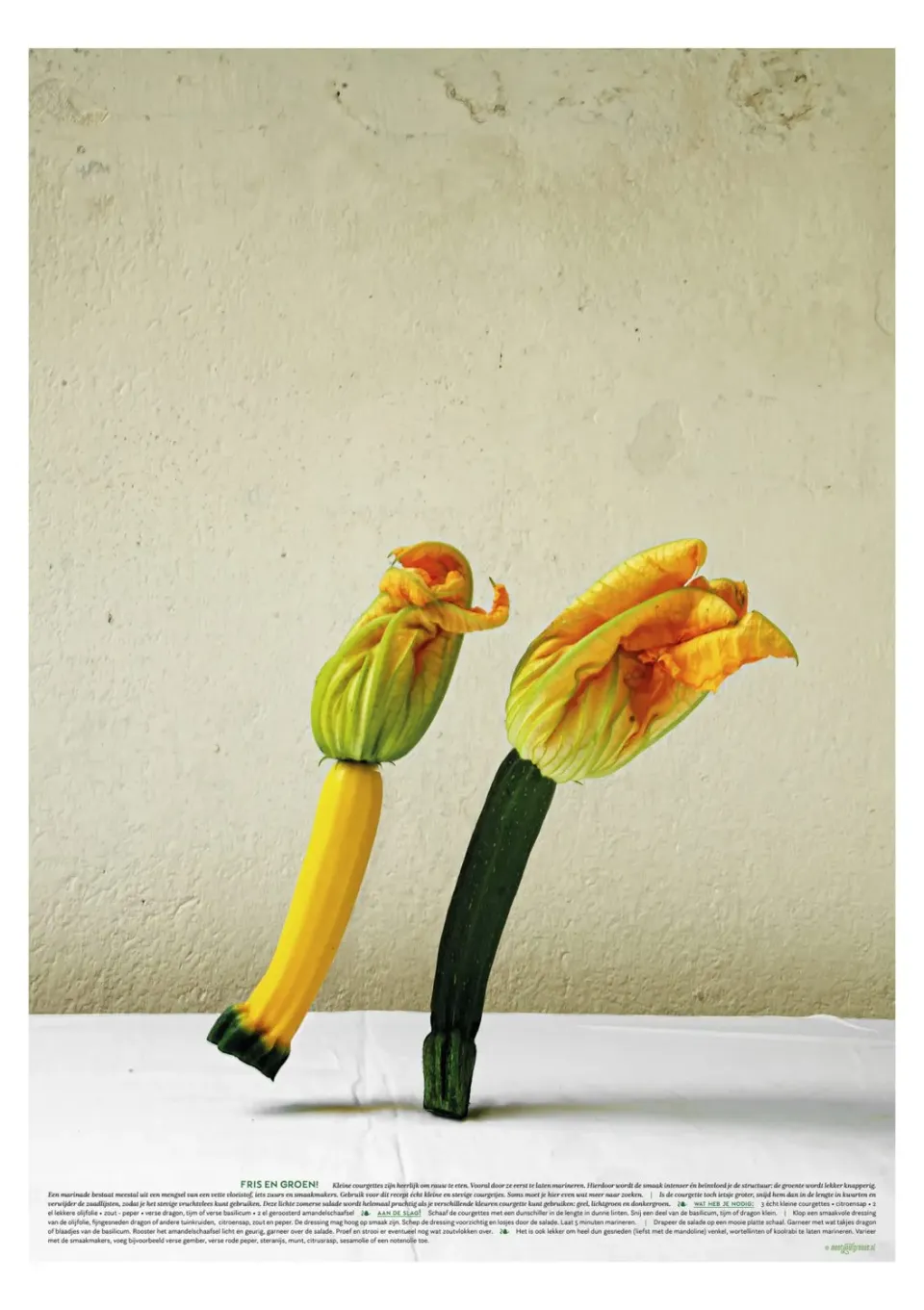 Meet Your Greens Het Paar courgetteprint A2+ geel-groen