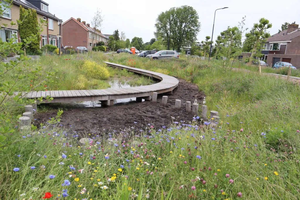 MediGran Wadiflora WA-10 wadizaden inheems