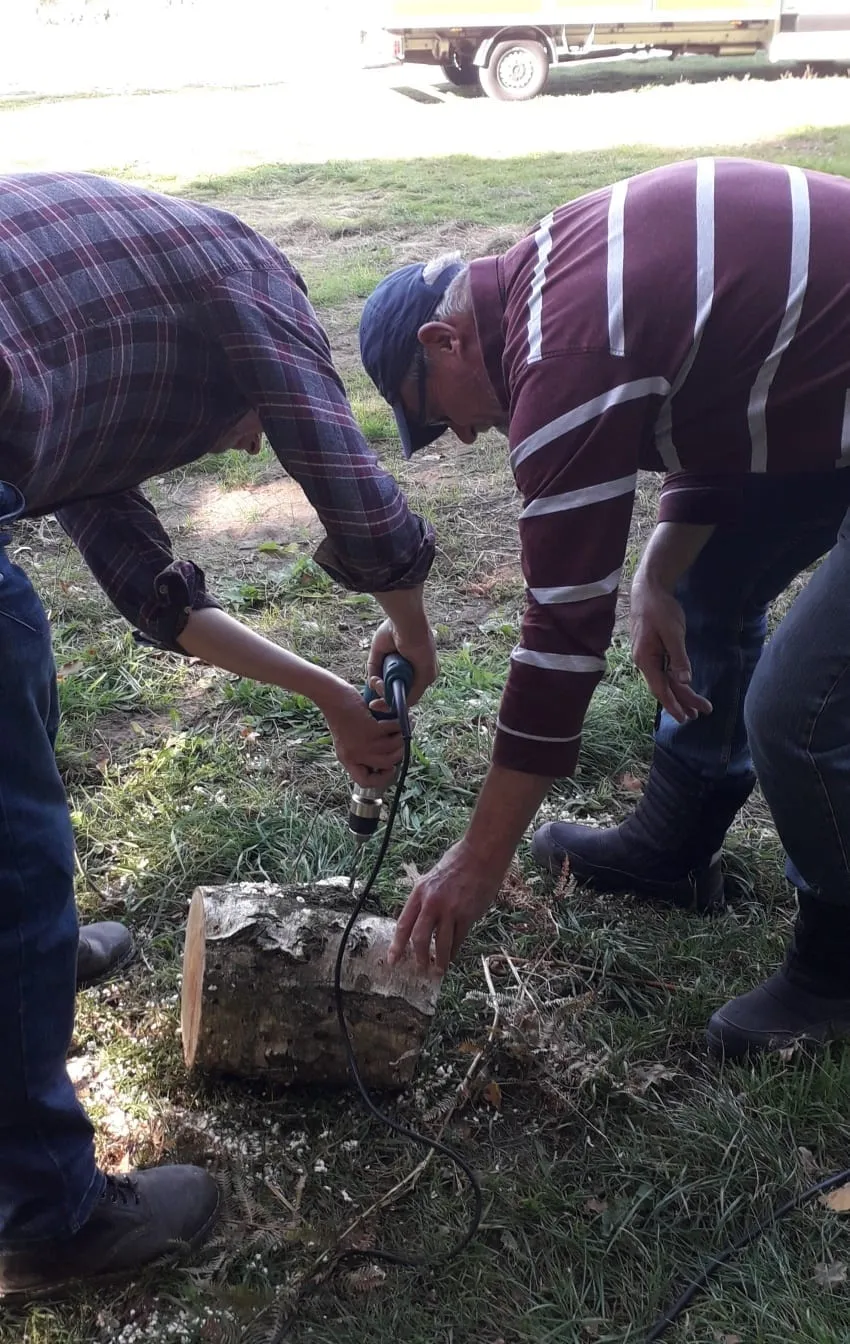 De Tuinen van MergenMetz Van Stam tot Zwam workshop paddenstoelen 10 oktober