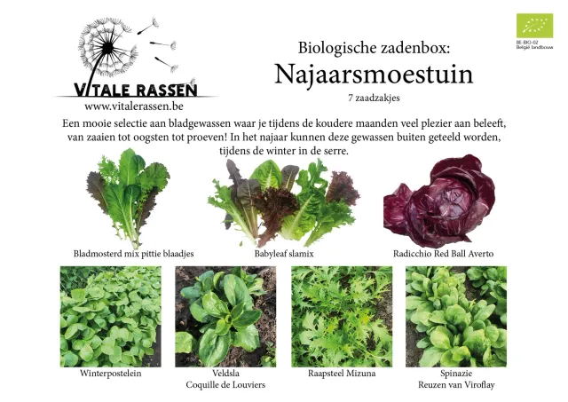 Vitale Rassen Najaarsmoestuin zadenbox herfstteelt set