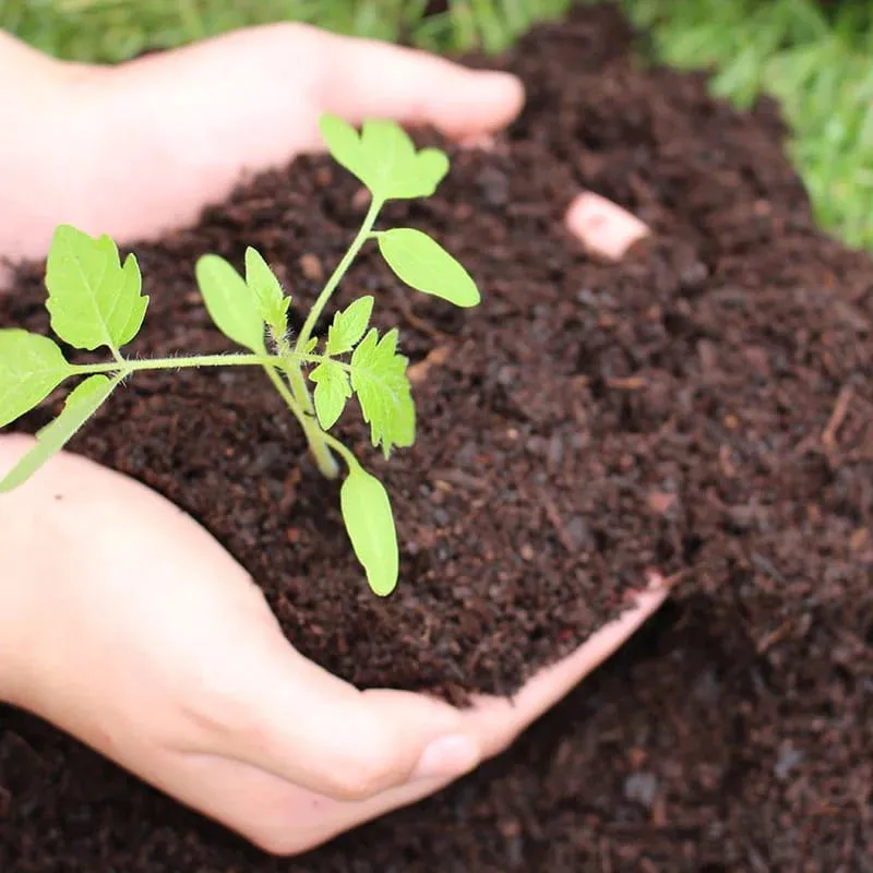 World Botanics turfvrije compost set 36 zakken groot