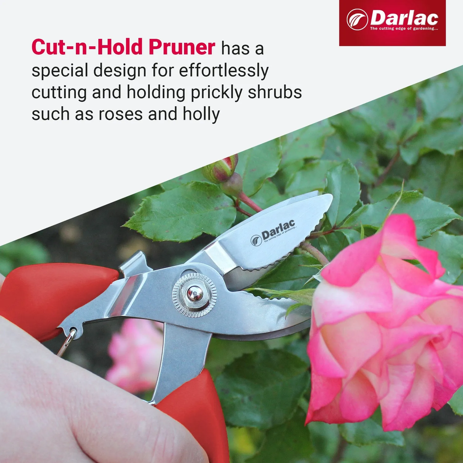 Darlac Cut-n-Hold Bypass snoeischaar RVS 20 mm