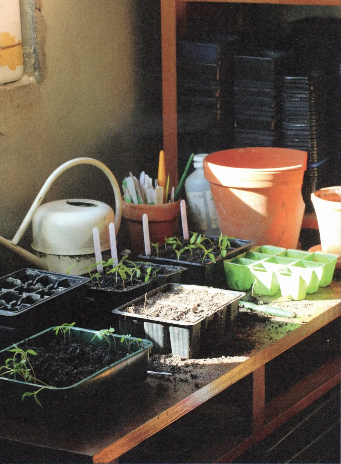 De Tuinen van MergenMetz Vera’s Moestuin boek beginners 1 stuk